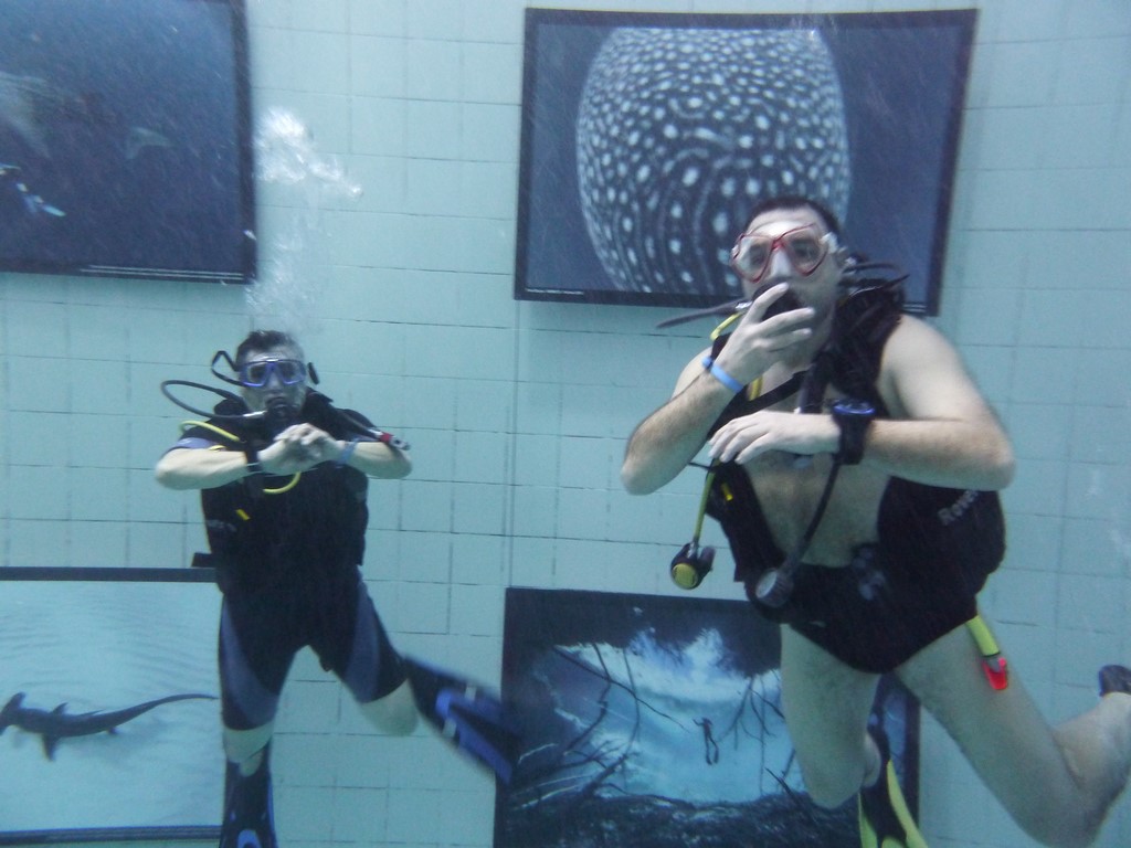 Nemo 33 2015