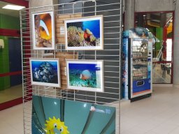 expo_photos_oise