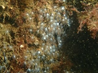 Forme 4 Dunkerque 06-2021