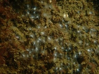 Forme 4 Dunkerque 06-2021