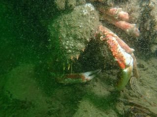 Forme 4 Dunkerque 06-2021